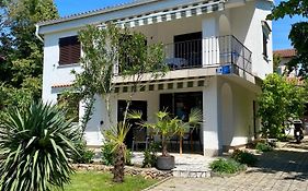 Apartment Olive Groove